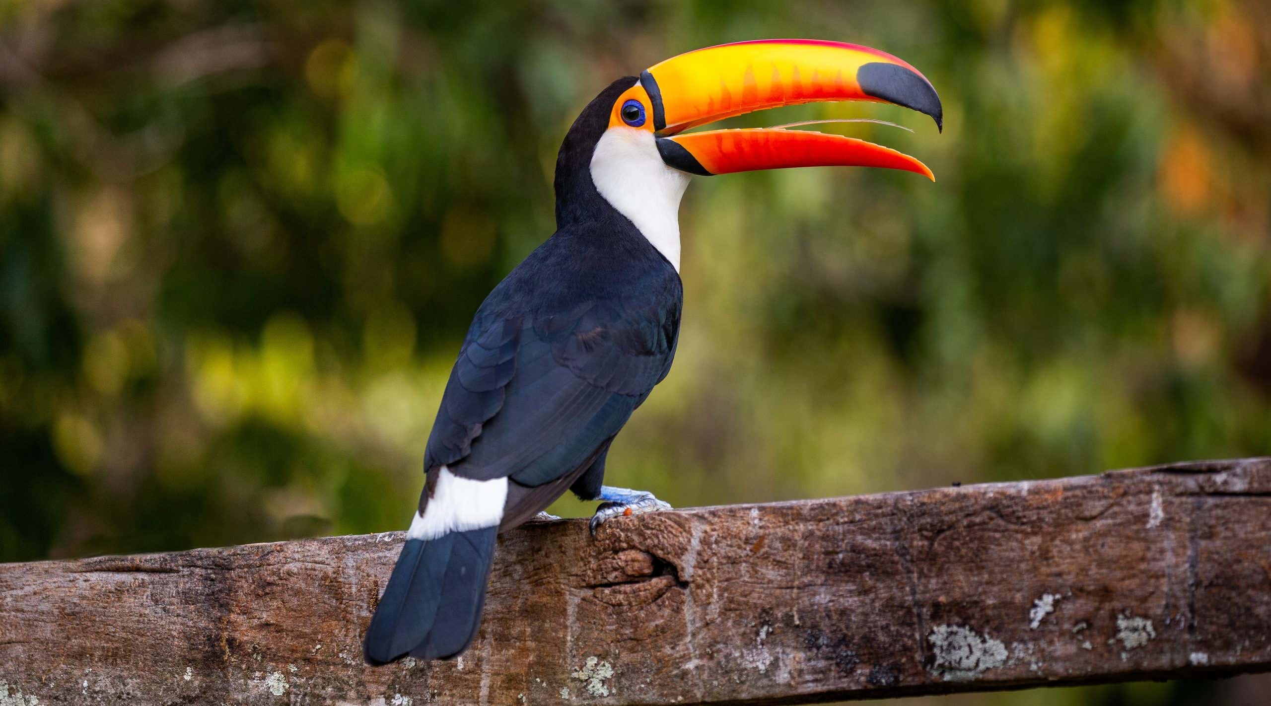 New Scientist. Science news and long reads from expert journalists, covering developments in science, technology, health and the environment on the website and the magazine.