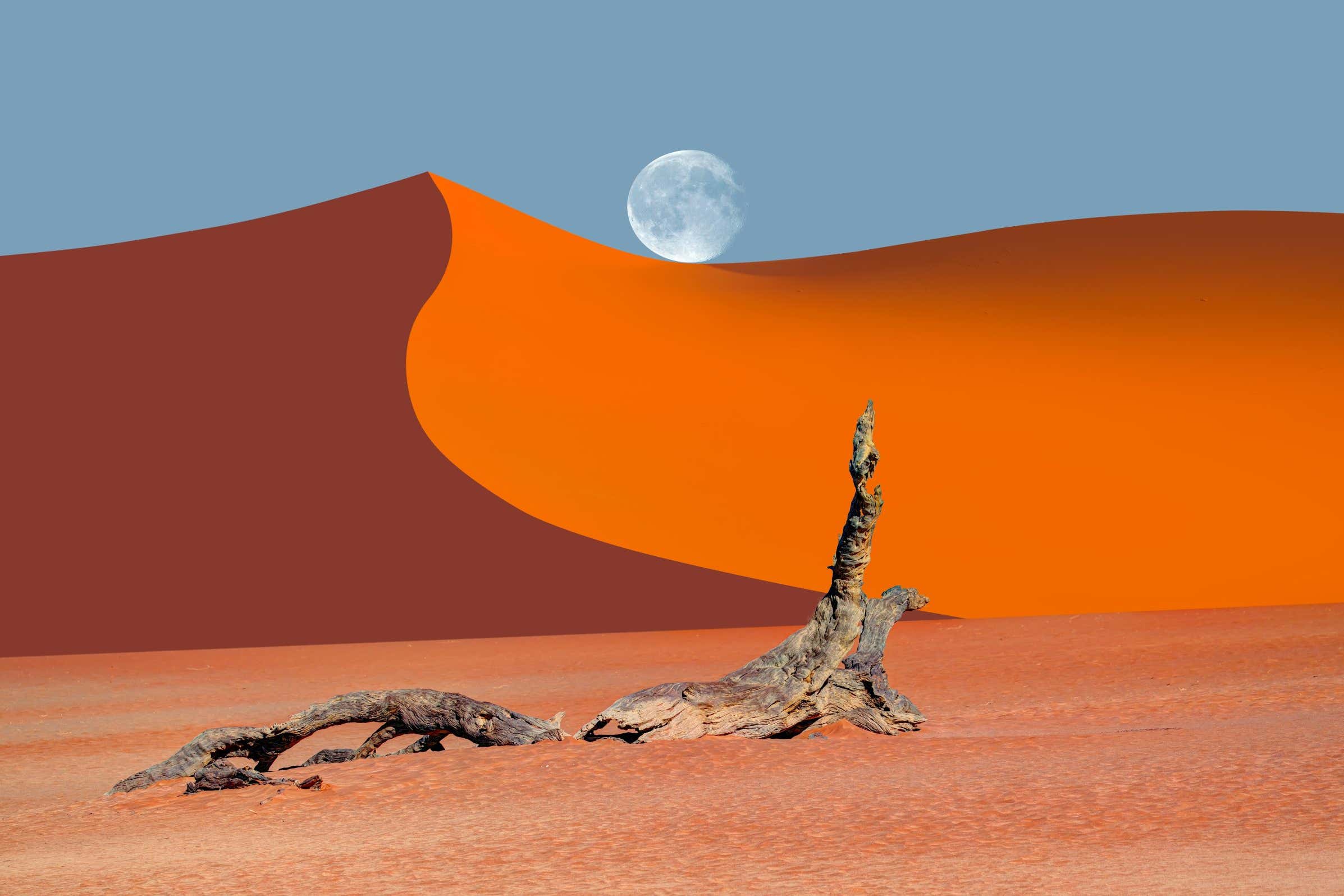 New Scientist. Science news and long reads from expert journalists, covering developments in science, technology, health and the environment on the website and the magazine.