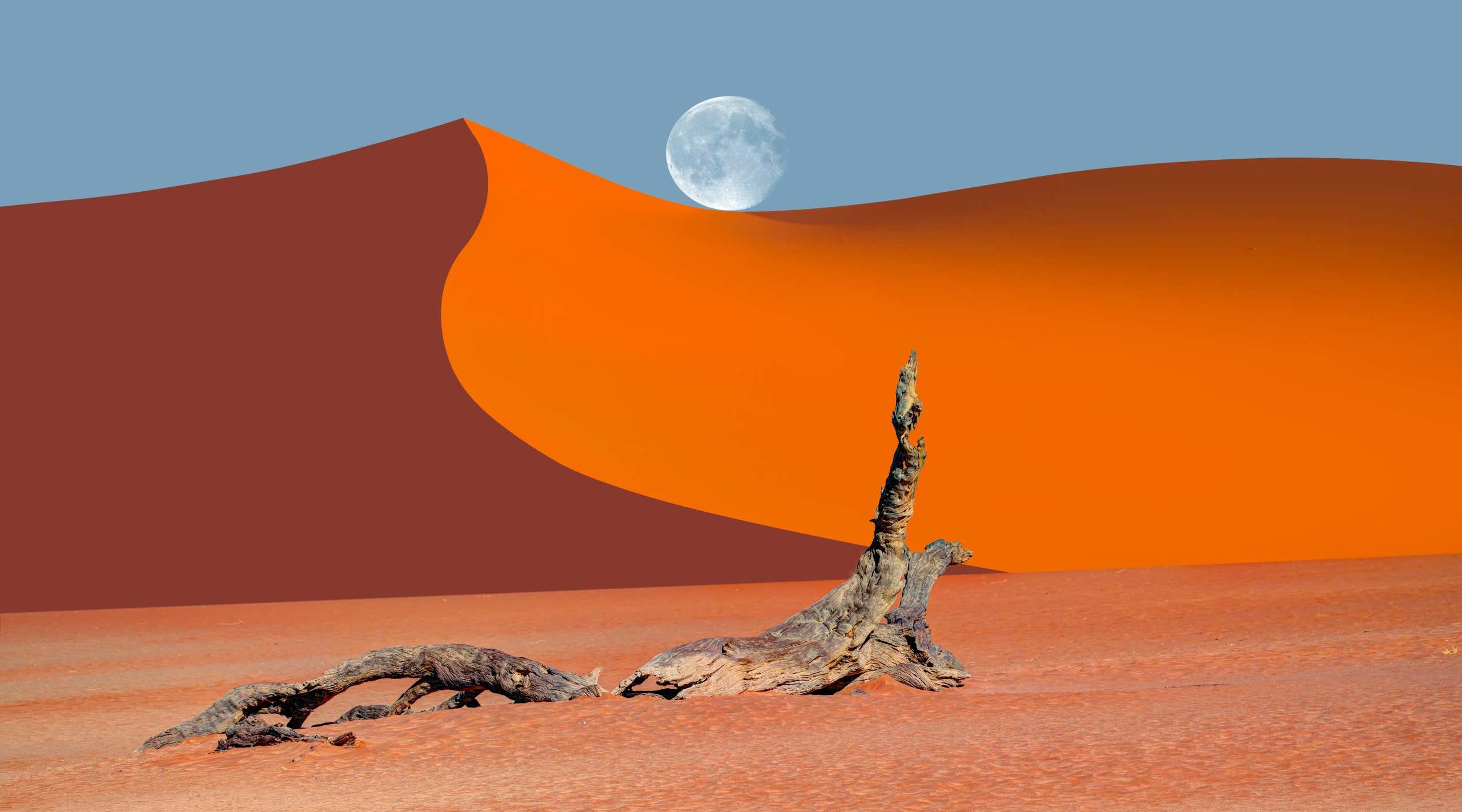 New Scientist. Science news and long reads from expert journalists, covering developments in science, technology, health and the environment on the website and the magazine.