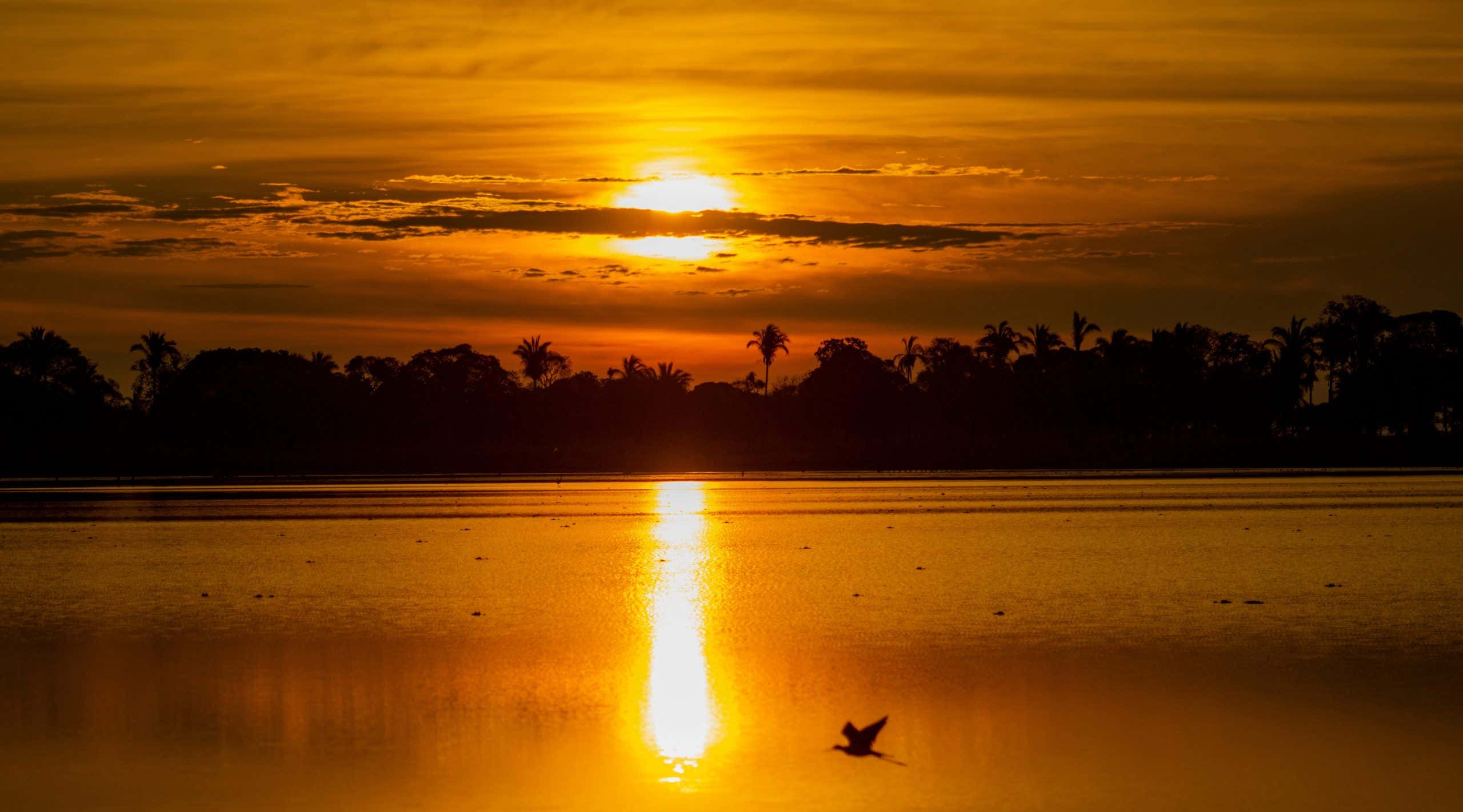 New Scientist. Science news and long reads from expert journalists, covering developments in science, technology, health and the environment on the website and the magazine.