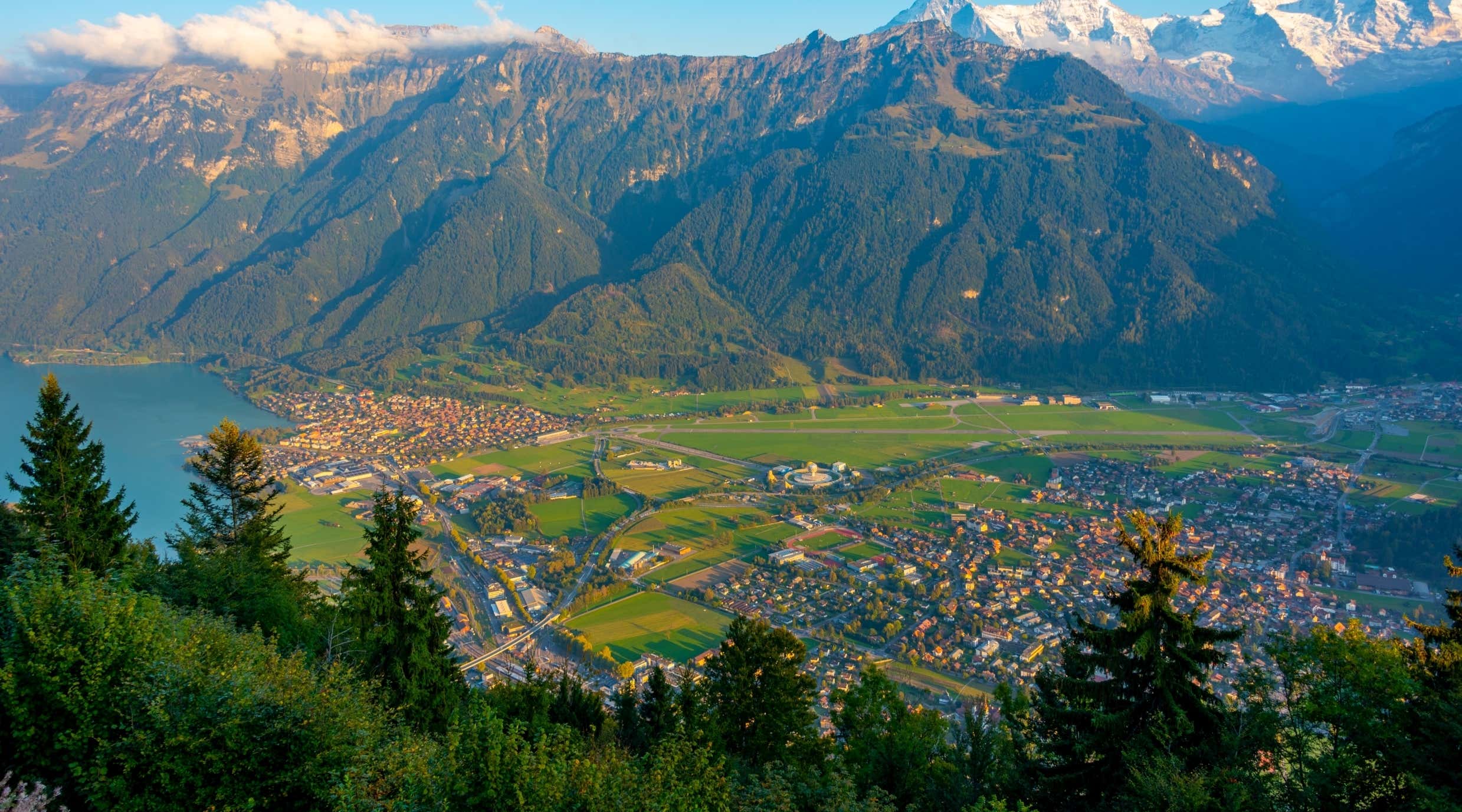 New Scientist. Science news and long reads from expert journalists, covering developments in science, technology, health and the environment on the website and the magazine.