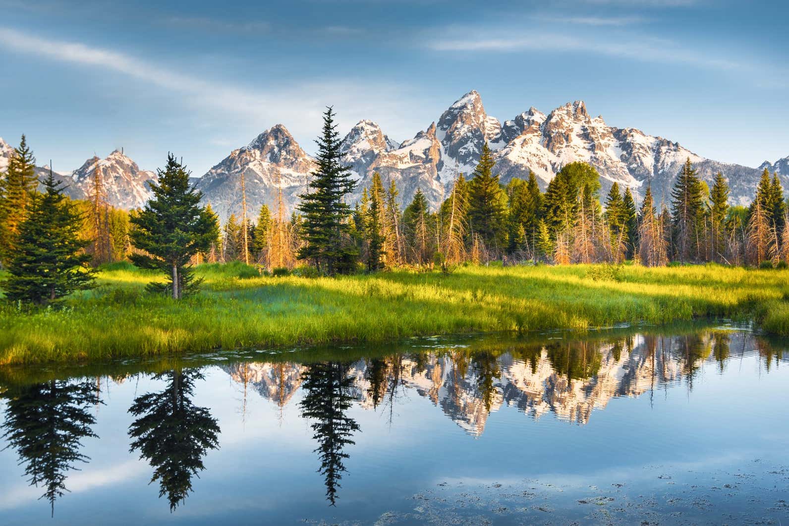 New Scientist. Science news and long reads from expert journalists, covering developments in science, technology, health and the environment on the website and the magazine.