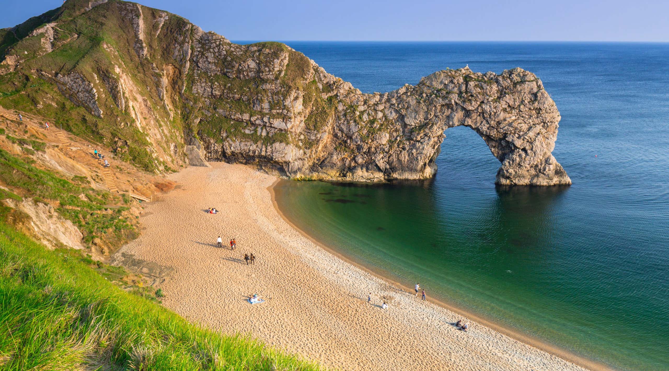 New Scientist. Science news and long reads from expert journalists, covering developments in science, technology, health and the environment on the website and the magazine.