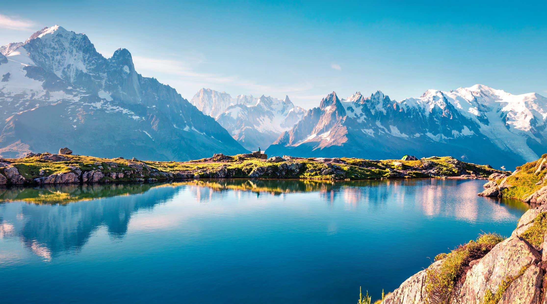 New Scientist. Science news and long reads from expert journalists, covering developments in science, technology, health and the environment on the website and the magazine.