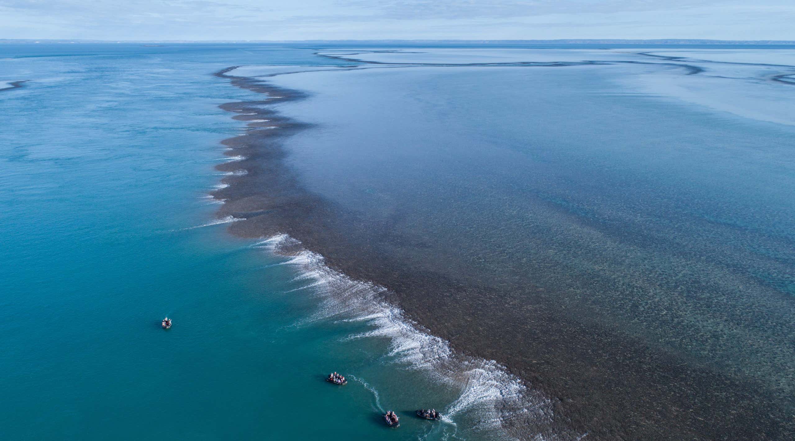 New Scientist. Science news and long reads from expert journalists, covering developments in science, technology, health and the environment on the website and the magazine.