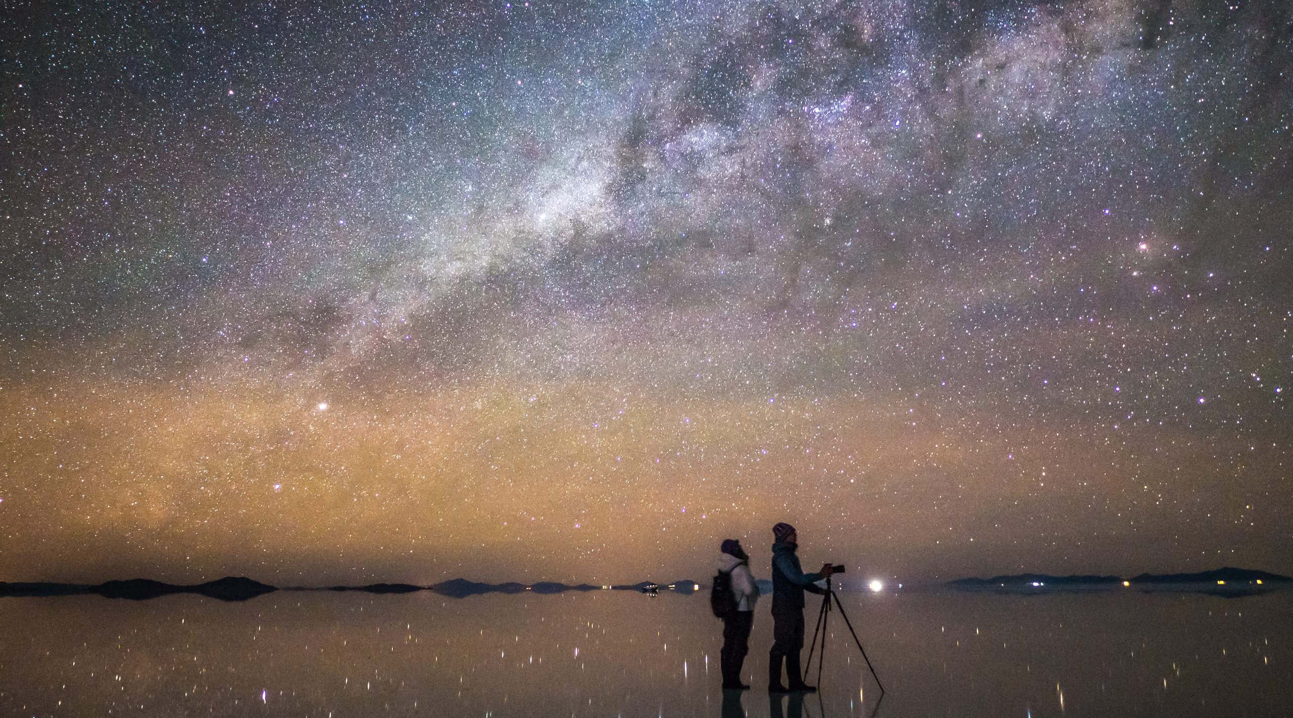 New Scientist. Science news and long reads from expert journalists, covering developments in science, technology, health and the environment on the website and the magazine.