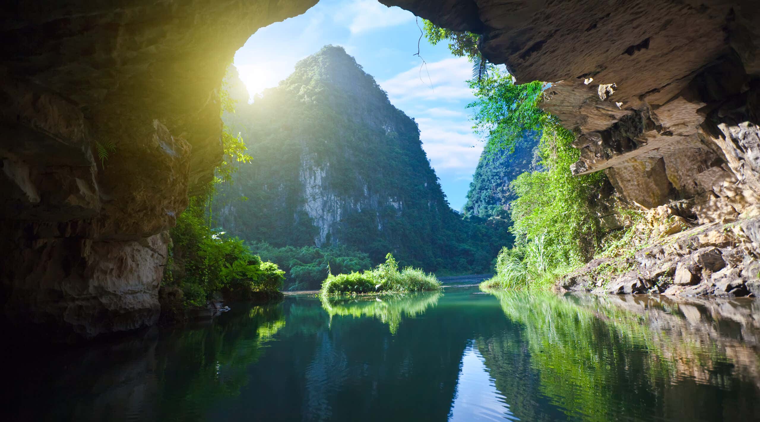 New Scientist. Science news and long reads from expert journalists, covering developments in science, technology, health and the environment on the website and the magazine.