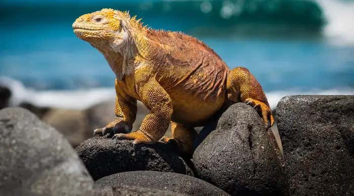 New Scientist. Science news and long reads from expert journalists, covering developments in science, technology, health and the environment on the website and the magazine.