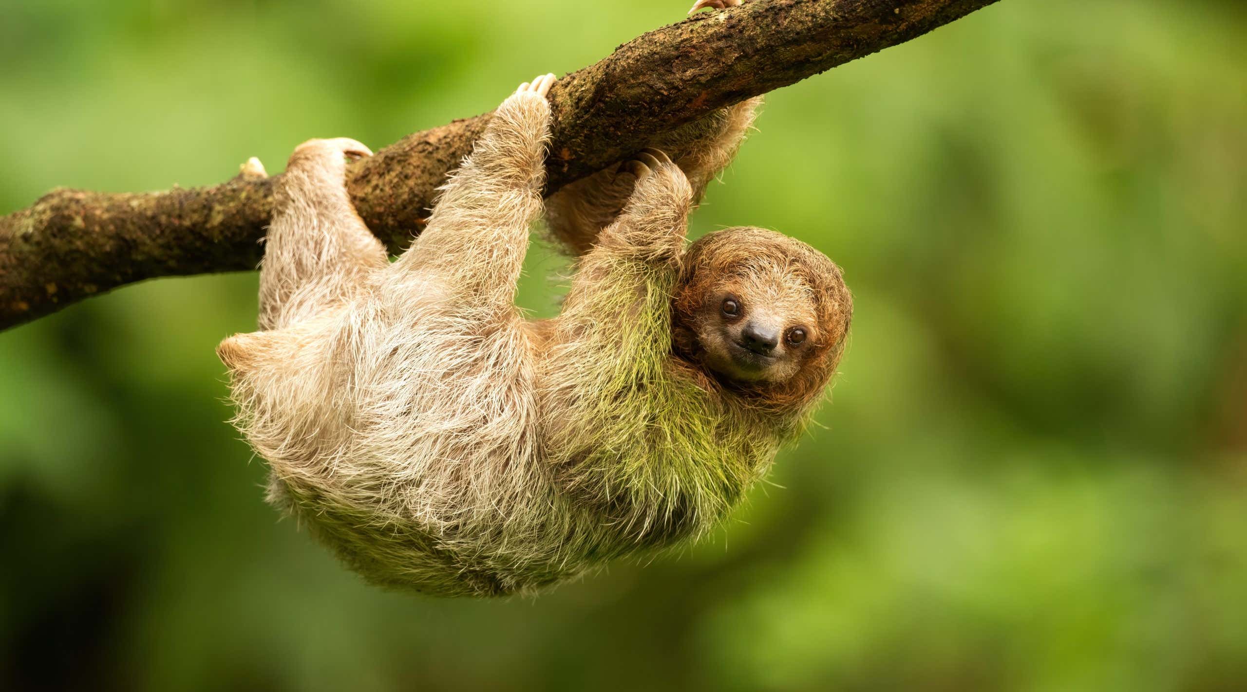 New Scientist. Science news and long reads from expert journalists, covering developments in science, technology, health and the environment on the website and the magazine.