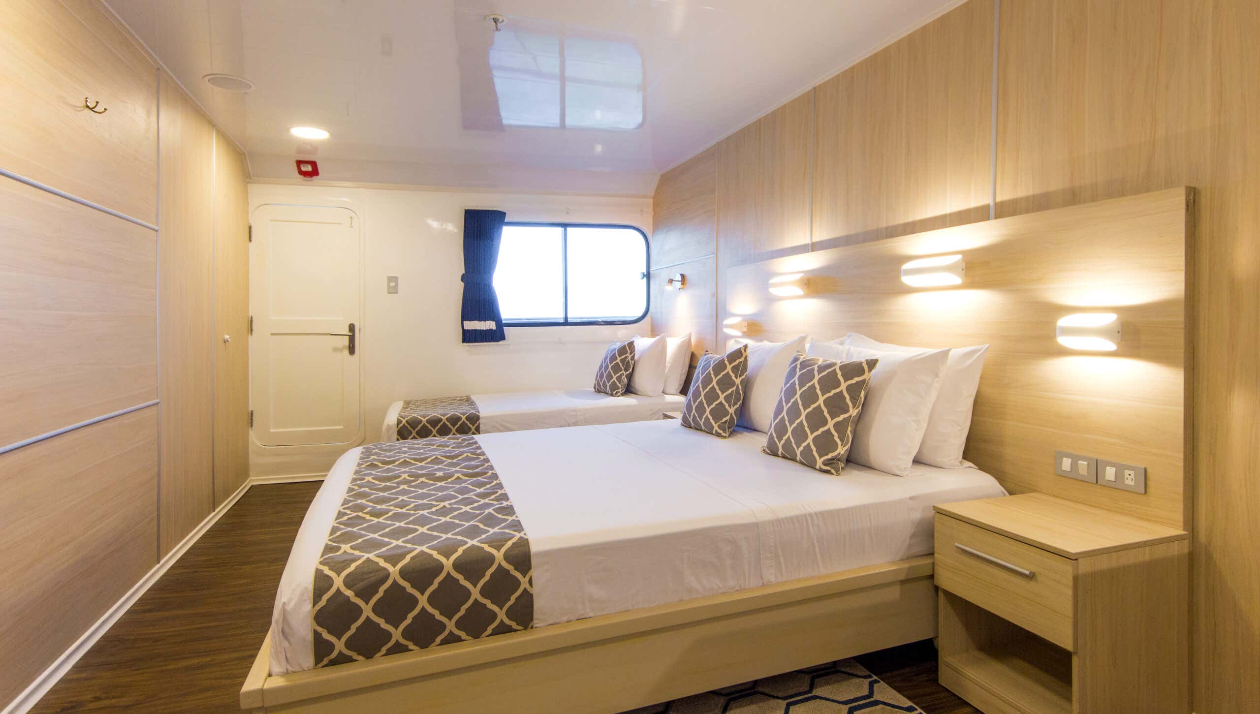 New Scientist. Science news and long reads from expert journalists, covering developments in science, technology, health and the environment on the website and the magazine.