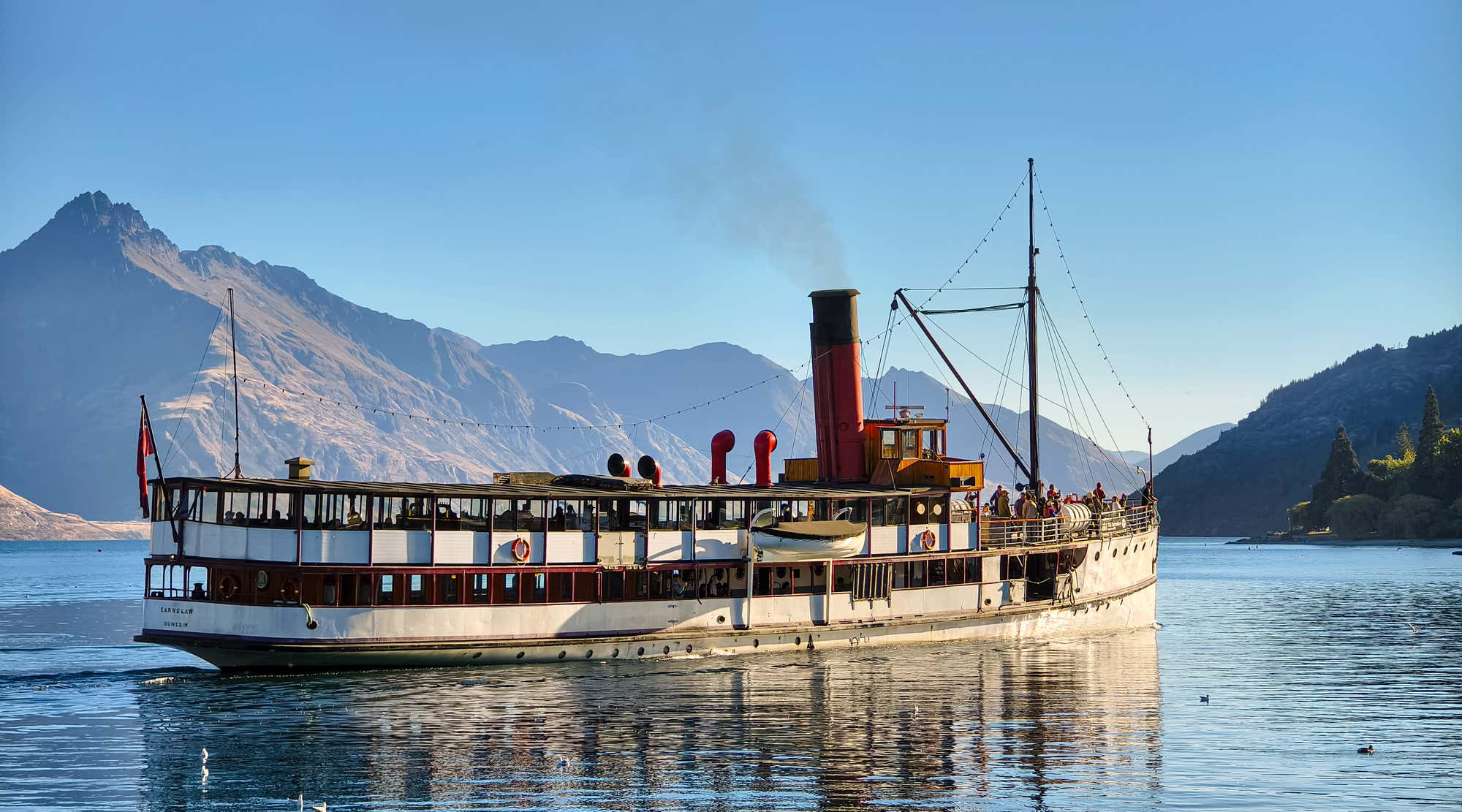 New Scientist. Science news and long reads from expert journalists, covering developments in science, technology, health and the environment on the website and the magazine.