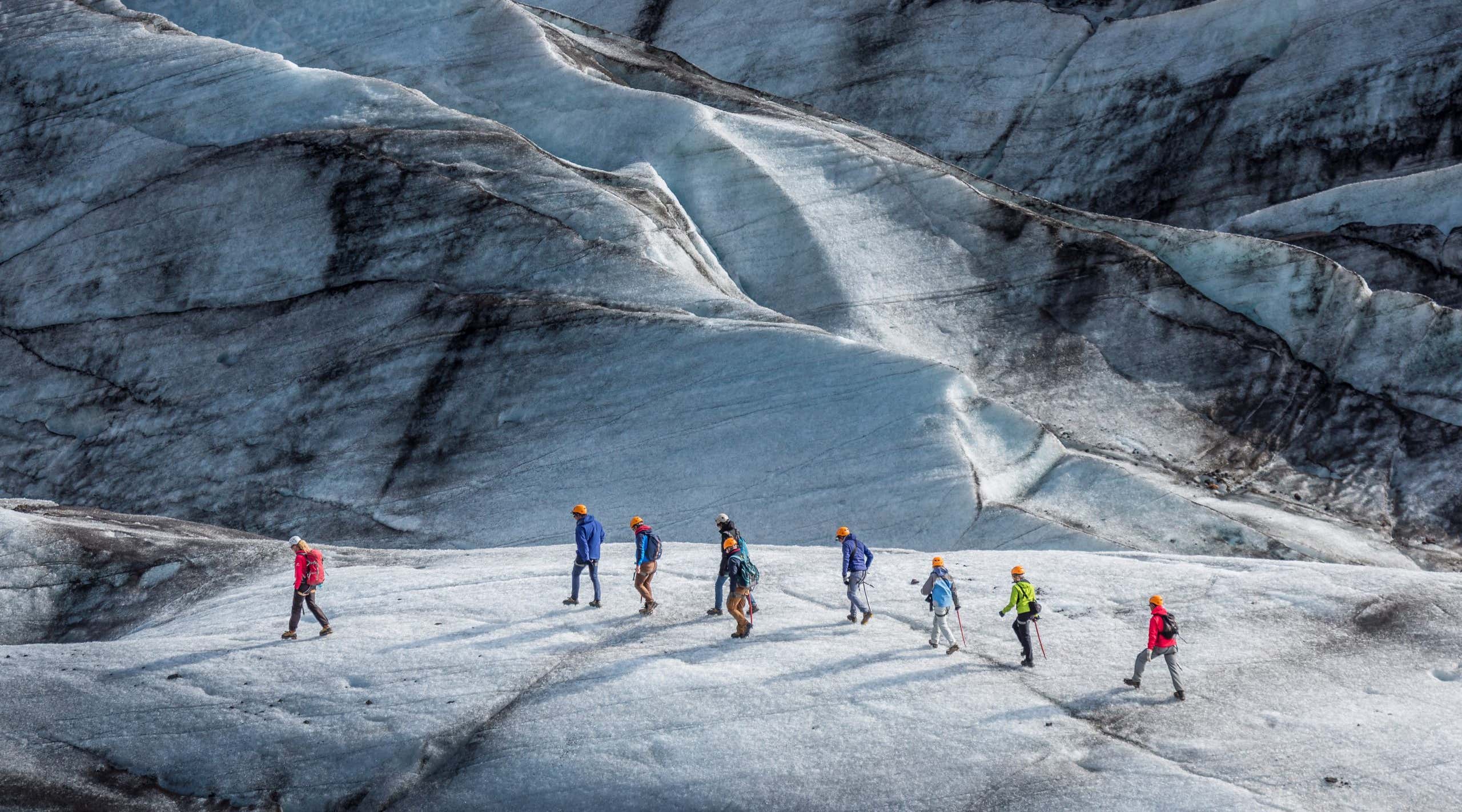 New Scientist. Science news and long reads from expert journalists, covering developments in science, technology, health and the environment on the website and the magazine.