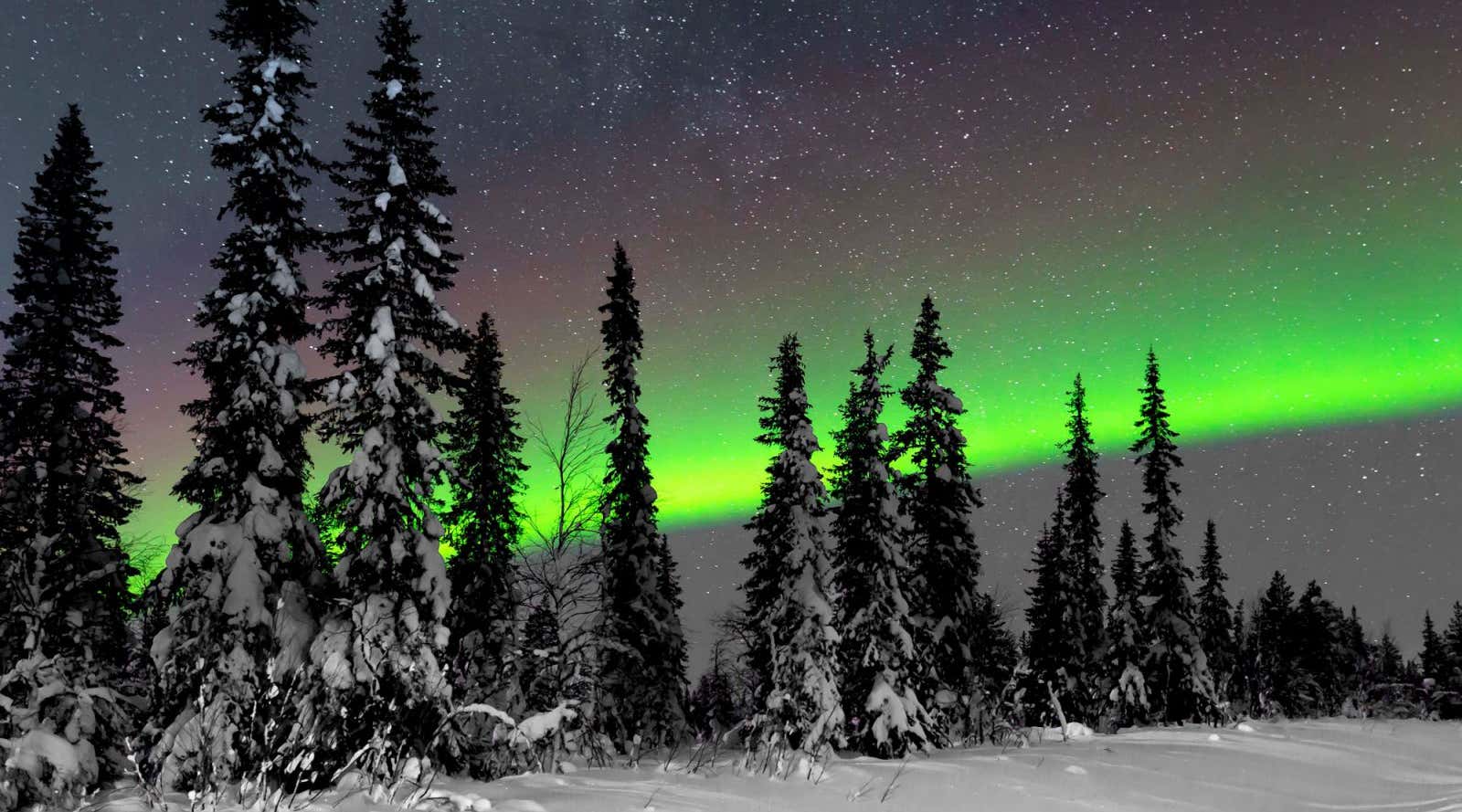 Abisko National Park with Northern lights above, Abisko National Park, Sweden