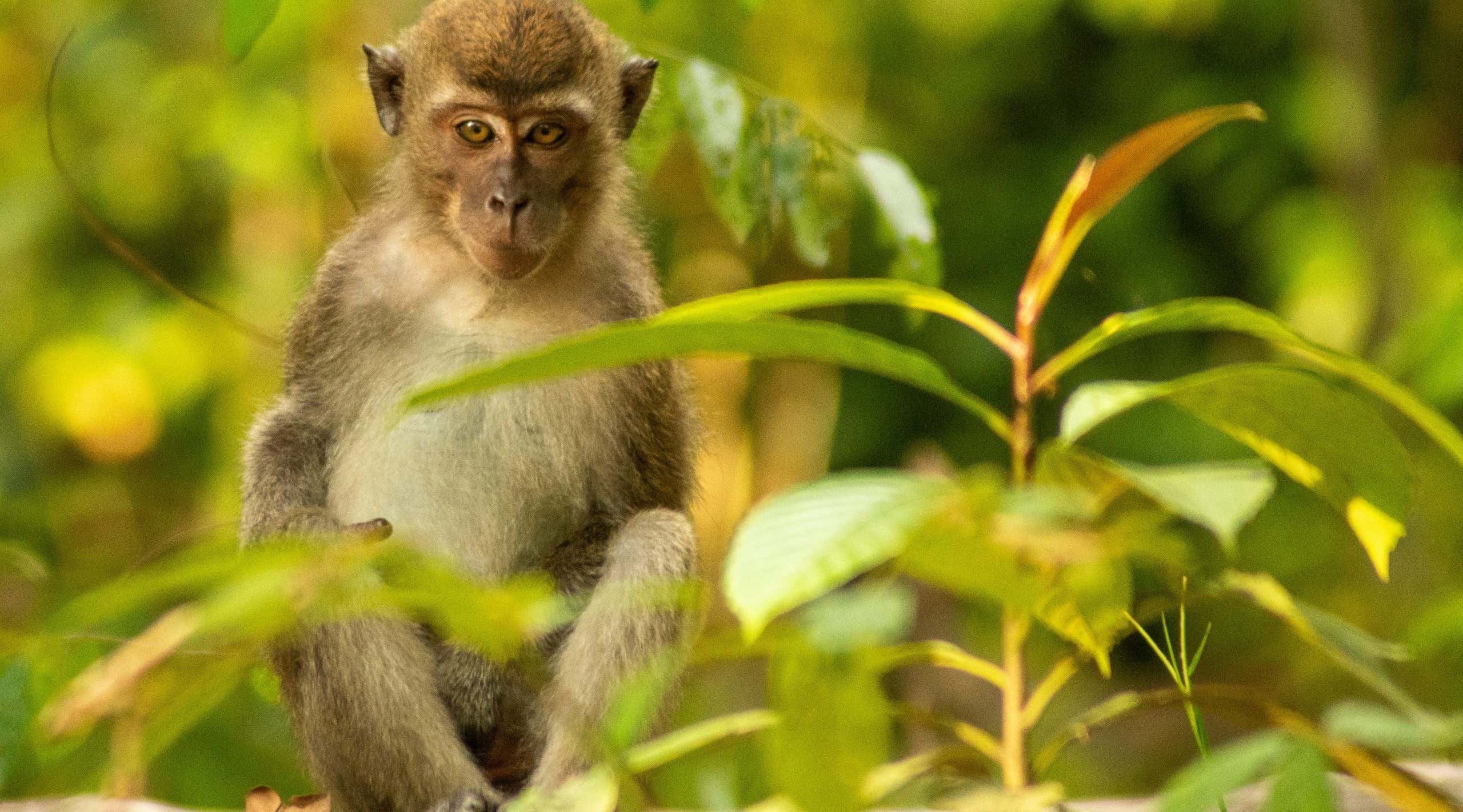 New Scientist. Science news and long reads from expert journalists, covering developments in science, technology, health and the environment on the website and the magazine.