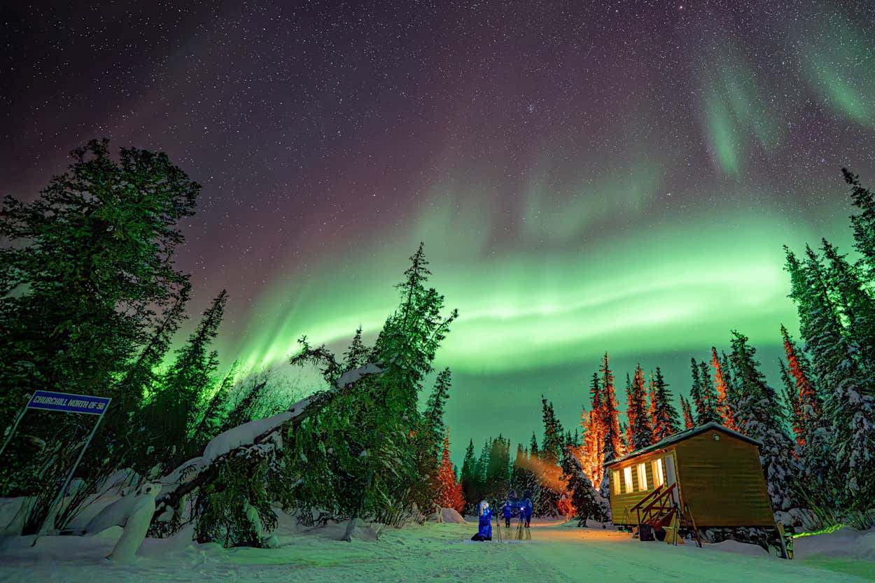 New Scientist. Science news and long reads from expert journalists, covering developments in science, technology, health and the environment on the website and the magazine.