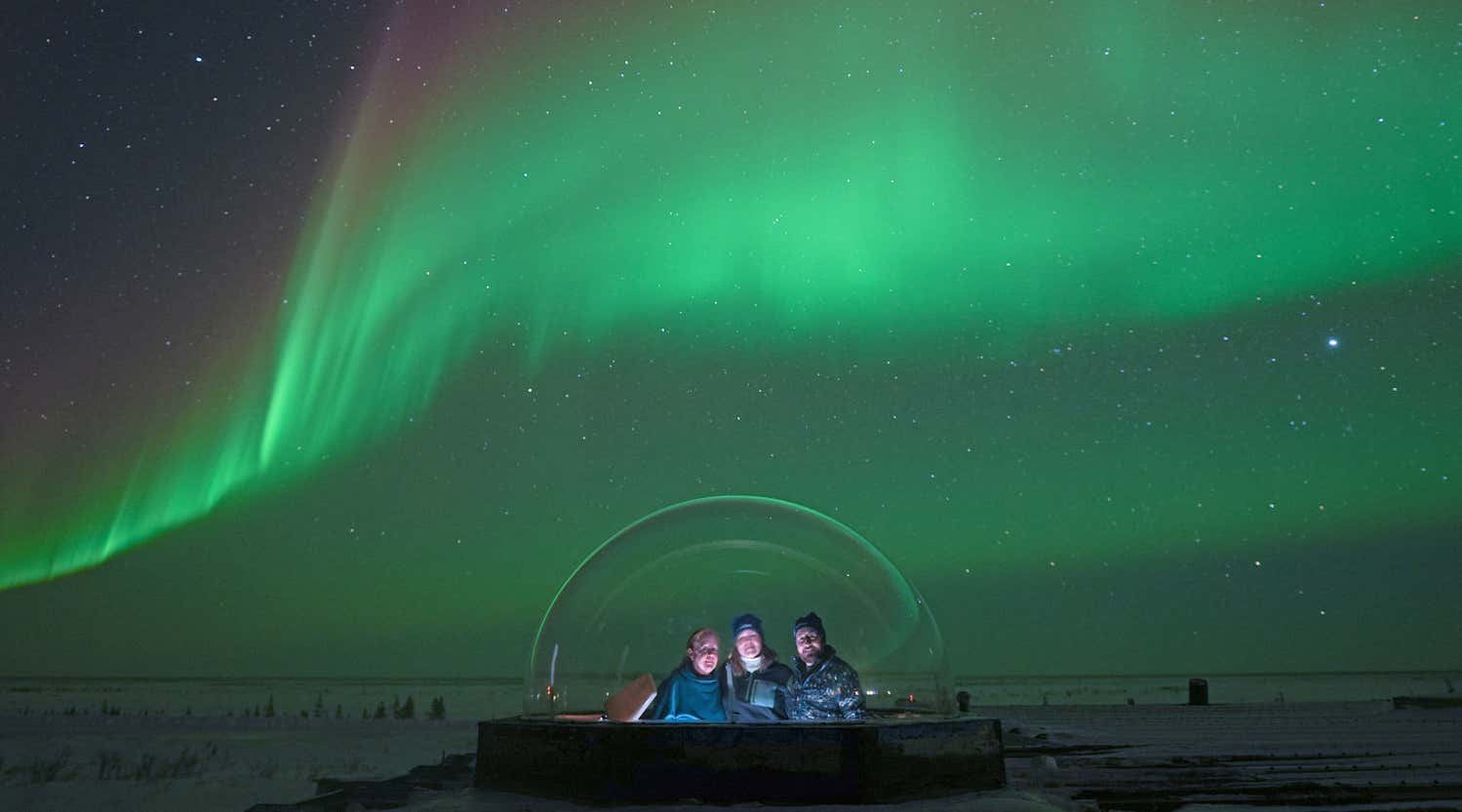 New Scientist. Science news and long reads from expert journalists, covering developments in science, technology, health and the environment on the website and the magazine.