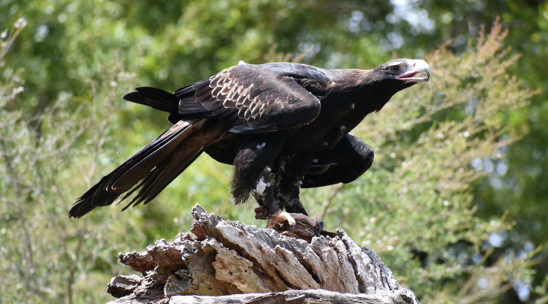 New Scientist. Science news and long reads from expert journalists, covering developments in science, technology, health and the environment on the website and the magazine.