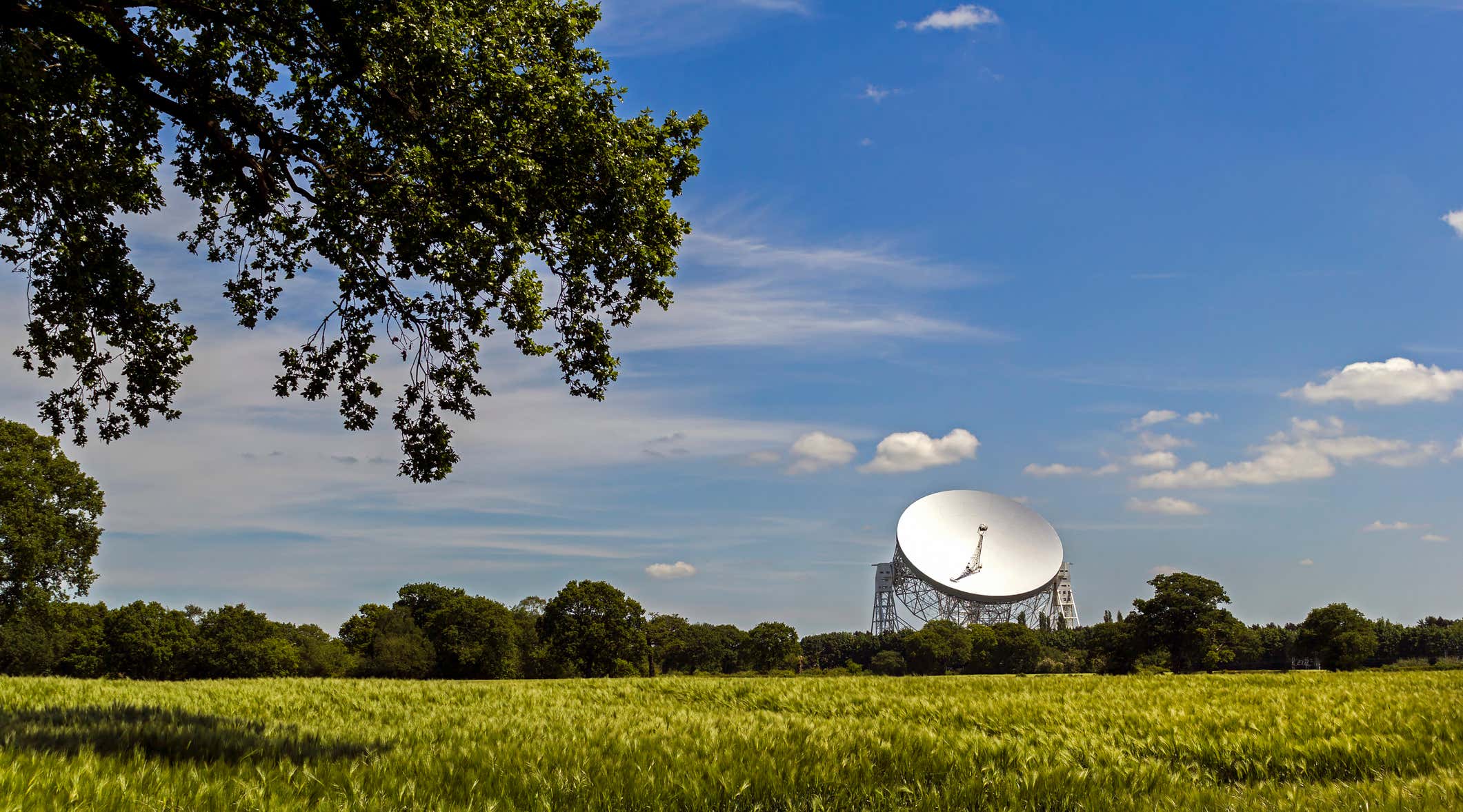 New Scientist. Science news and long reads from expert journalists, covering developments in science, technology, health and the environment on the website and the magazine.