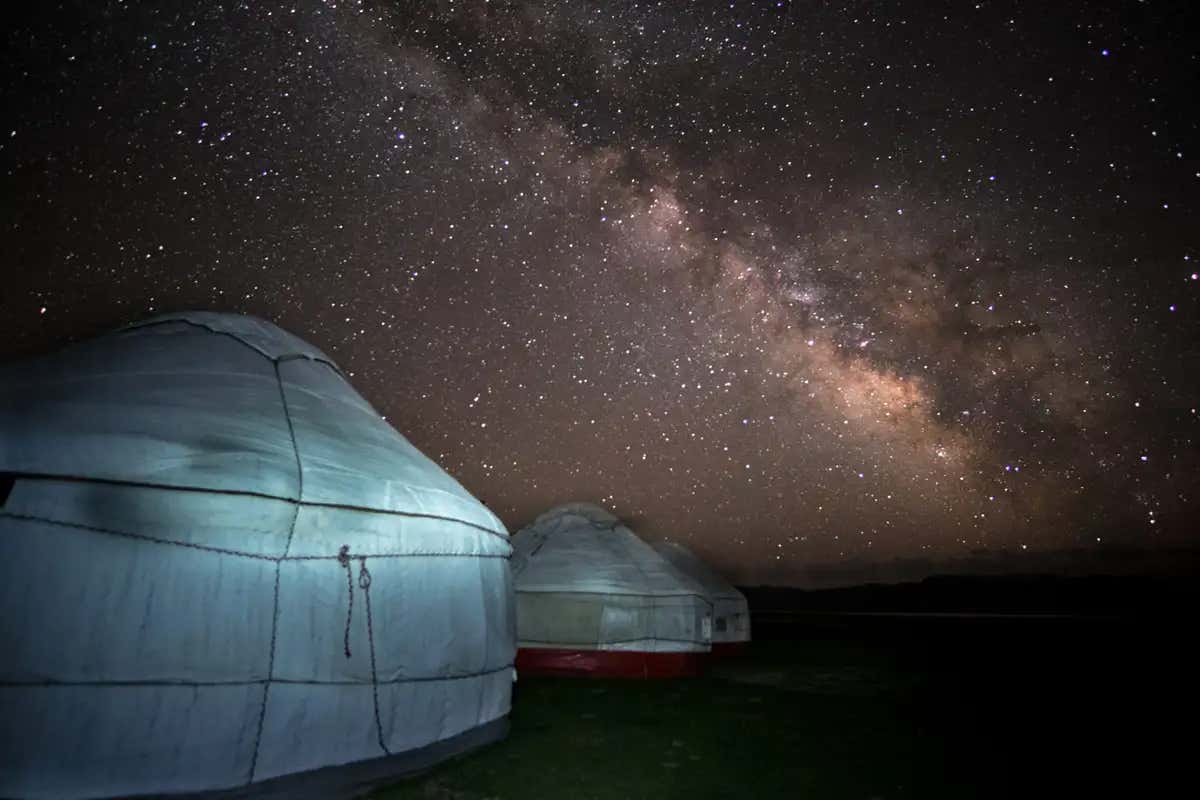 New Scientist. Science news and long reads from expert journalists, covering developments in science, technology, health and the environment on the website and the magazine.